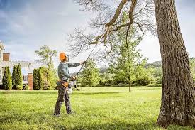 Best Seasonal Cleanup (Spring/Fall)  in Lake Sarasota, FL