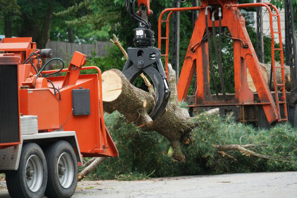 Best Utility Line Clearance  in Lake Sarasota, FL